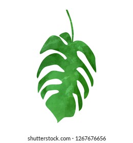 Tropical monstera leaf. Vector illustration. Watercolor textured hand drawn silhouette isolated on white background.