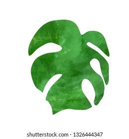 Tropical monstera leaf. Vector illustration. Watercolor textured hand drawn silhouette isolated on white background.
