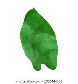 Tropical monstera leaf. Vector illustration. Watercolor textured hand drawn silhouette isolated on white background.