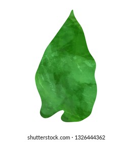 Tropical monstera leaf. Vector illustration. Watercolor textured hand drawn silhouette isolated on white background.