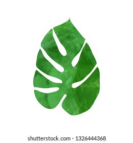 Tropical monstera leaf. Vector illustration. Watercolor textured hand drawn silhouette isolated on white background.