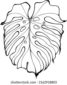 Tropical Monstera Leaf Vector Illustration, Perfect Element For Any Use.