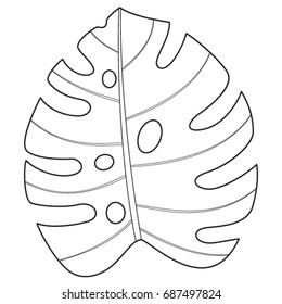 Tropical Monstera leaf. Vector illustration