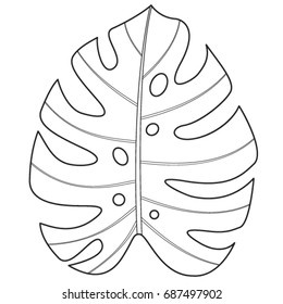 Tropical Monstera leaf. Vector illustration