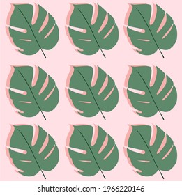 Monstera Tropical Deja Patrón Sin Marea