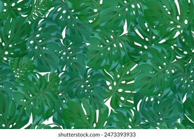 Tropical monstera leaves seamless pattern background vector isolated