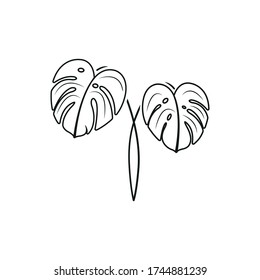 Tropical Monstera Leaves Vector Drawing Stock Vector (Royalty Free