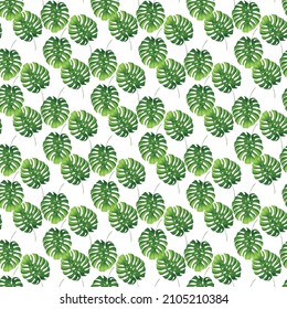 tropical monstera on white background Seamless Pattern Design