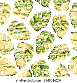 patrón de monstera tropical sin fisuras con colorido abstracto sobre fondo blanco. patrón natural. fondo tropical. tapiz decorativo. Tropos exóticos. Diseño de verano