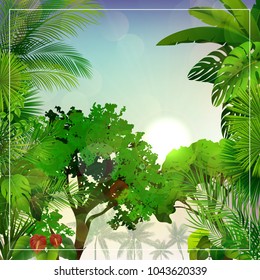Tropical morning landscape with palm trees and leaves