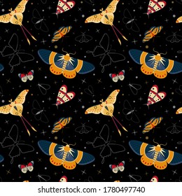 Tropical moth pattern with colorful exotic butterflies silhouettes on black. Exotic rainforest insects seamless background for prints, textile and fabric designs.