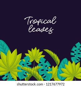 tropical natural leaves
