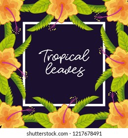 tropical natural leaves