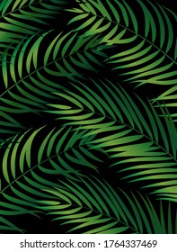 Tropical Natural Palm Background. Vector Illustration EPS10