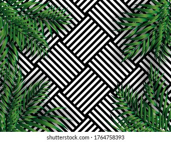 Tropical Natural Palm Background. Vector Illustration EPS10
