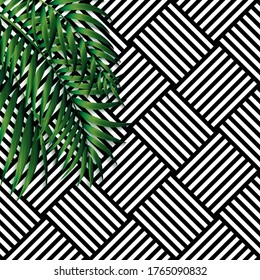 Tropical Natural Palm Background. Vector Illustration EPS10