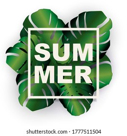 Tropical Natural Palm Summer Background. Vector Illustration EPS10