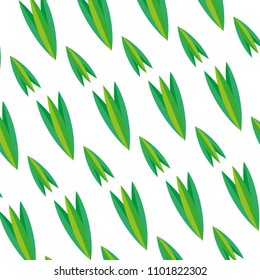 tropical natural plant style background