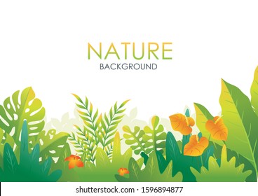 Tropical nature background vector, with space for place your text and beautiful of a jungle landscape such us leaves and foliage of tropical plants, trees and grass. 
