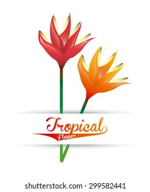 tropical nature design, vector illustration eps10 graphic 