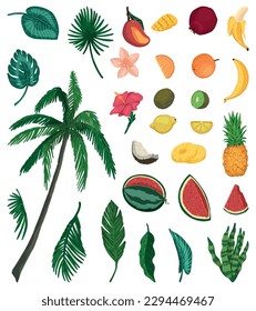 Tropical nature doodles set. Collection of exotic leaves, palm, flowers, fruits. Colored vector illustration in cartoon style. Modern cliparts isolated on white.