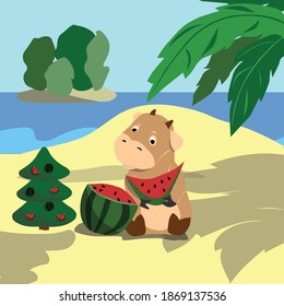 
tropical new year bull eat watermelon, year of the bull