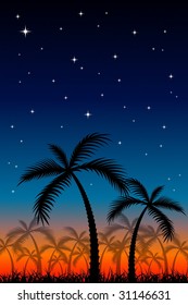 Tropical Night
