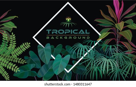 Tropical night forest with green plants and dark background.