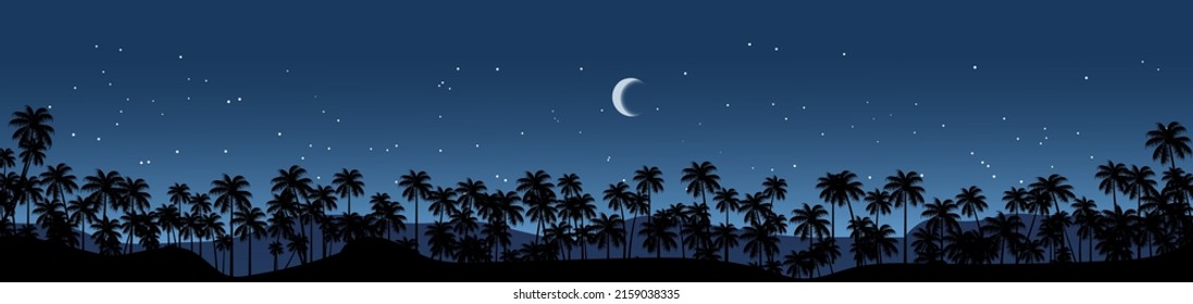 tropical night nature background with coconut trees