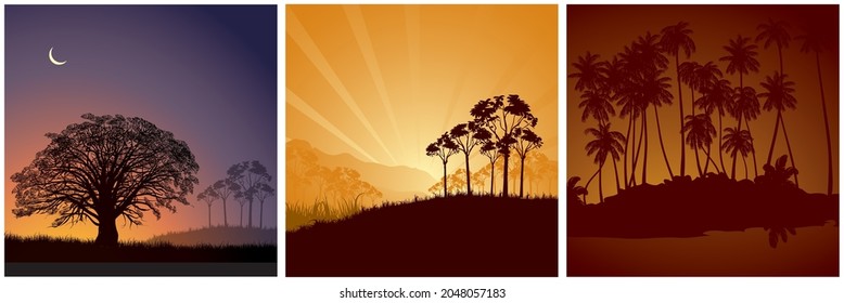 Colección de fondo vectorial del paisaje de la noche tropical y la puesta del sol.