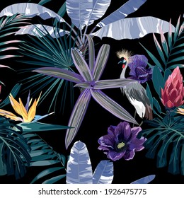 Tropical night vintage wild birds pattern, palm tree, palm leaves and flowers seamless border on black background. Exotic jungle wallpaper.  Japanese crane bird pattern.