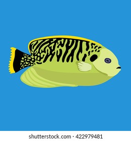 Tropical ocean fish, vector illustration