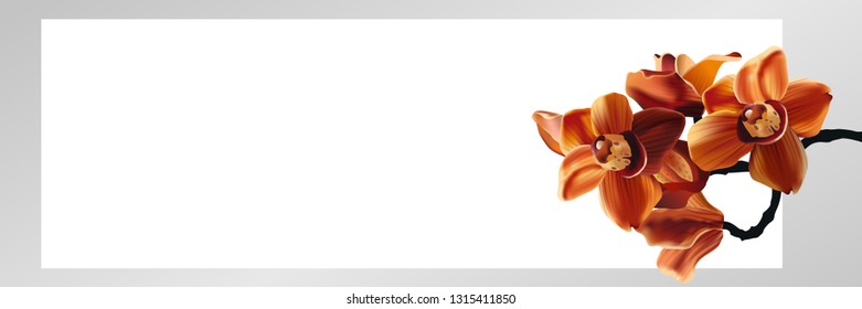 Tropical Orchid Cymbidium flowers. Hand drawn realistic vector illustration with bright orange orchids. 