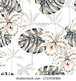 Tropical orchid flowers, monstera leaves, palm trees, white background. Vector seamless pattern. Jungle foliage illustration. Exotic plants. Summer beach floral design. Paradise nature