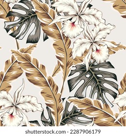 Tropical orchid flowers, monstera palm leaves, beige background. Vector seamless pattern. Jungle foliage illustration. Exotic plants. Summer beach floral design. Paradise nature