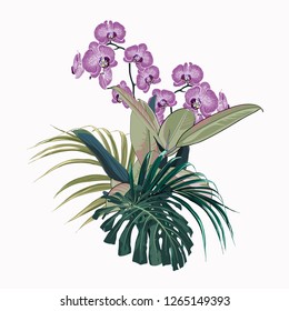Tropical orchid flowers, palm leaves, jungle leaf, monstera and ficus.