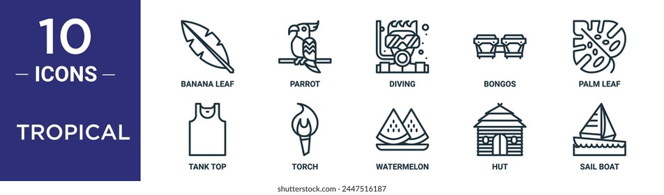 tropical outline icon set includes thin line banana leaf, parrot, diving, bongos, palm leaf, tank top, torch icons for report, presentation, diagram, web design