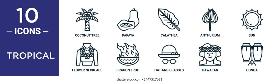 tropical outline icon set includes thin line coconut tree, papaya, calathea, anthurium, sun, flower necklace, dragon fruit icons for report, presentation, diagram, web design