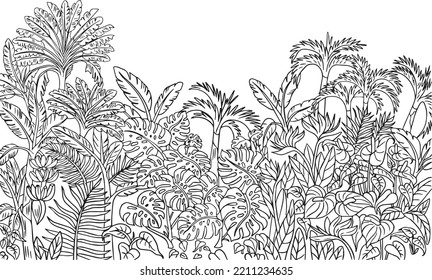 Tropical outlined vector illustration for coloring page and prints, black and white line drawing with palms, banana trees, bird of paradise and peace lily flowers.