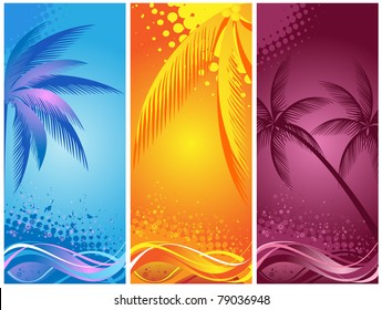 tropical palm, background summer