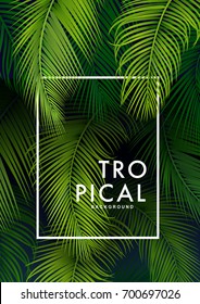 Tropical Palm Background. Summer Illustration. 