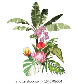 Tropical palm bananas tree and exotic leaves, Spathiphyllum red flower composition over white background. Fashion summer print for wrapping, fabric, invitation card and your template design.
