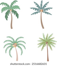 Tropical Palm and Coconut Tree Illustrations. Beach and Island Graphics