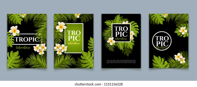 Tropical palm flyer leaves background set. Trendy tropical design summer card. Exotic jungle banner.