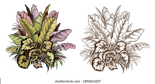 Tropical palm foliage. Rainforest leaves on white background. Hand drawn vector illustration.