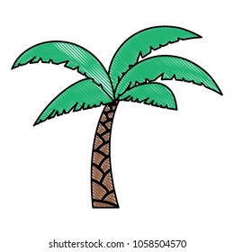 Tropical palm icon 