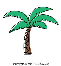 Tropical palm icon 