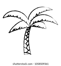 Tropical palm icon 