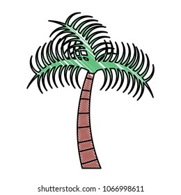 tropical palm icon