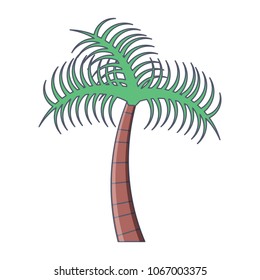 tropical palm icon